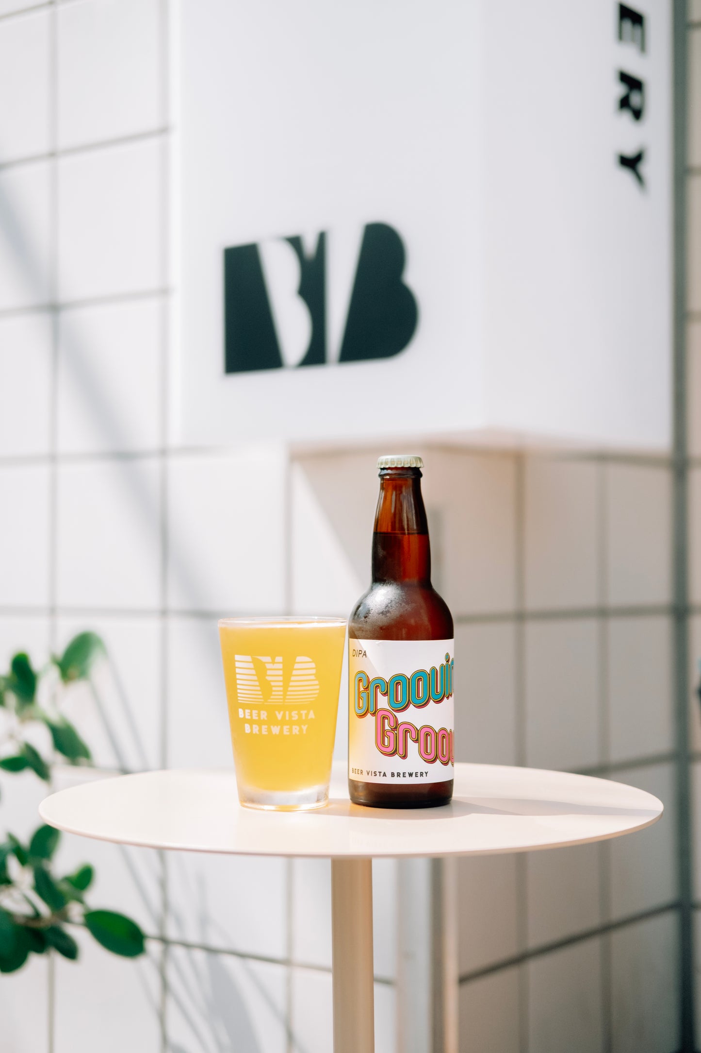 GROOVIN' GROOVIN' - DIPA 6本セット